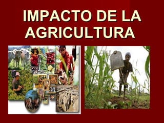 IMPACTO DE LA AGRICULTURA  
