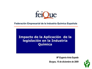 Federación Empresarial de la Industria Química Española




   Impacto de la Aplicación de la
     legislación en la Industria
               Química



                                     Mª Eugenia Anta Espada
                              Burgos, 15 de diciembre de 2009
 