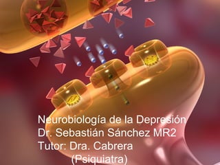 Neurobiología de la Depresión
Dr. Sebastián Sánchez MR2
Tutor: Dra. Cabrera
(Psiquiatra)
 