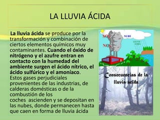 LA LLUVIA ÁCIDA 
La lluvia ácida se produce por la 
transformación y combinación de 
ciertos elementos químicos muy 
contaminantes. Cuando el óxido de 
nitrógeno y el azufre entran en 
contacto con la humedad del 
ambiente surgen el ácido nítrico, el 
ácido sulfúrico y el amoníaco. 
Estos gases perjudiciales 
provenientes de las industrias, de 
calderas domésticas o de la 
combustión de los 
coches ascienden y se depositan en 
las nubes, donde permanecen hasta 
que caen en forma de lluvia ácida.. 
 