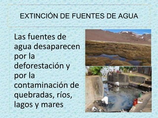 EXTINCIÓN DE FUENTES DE AGUA 
Las fuentes de 
agua desaparecen 
por la 
deforestación y 
por la 
contaminación de 
quebradas, ríos, 
lagos y mares 
 