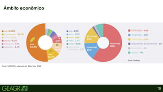 10
Âmbito econômico
Fonte: SINDIVEG, adaptado de Mais Soja, 2022.
 