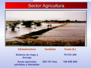 Sector AgriculturaSector Agricultura
Infraestructura Cantidad Costo ($.)
Sistema de riego y
drenaje
70 019 390
Areas agricolas
pérdidas y afectadas
204 191 Has. 169 806 690
 