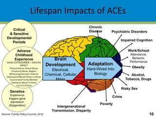 Chronic
Disease
Alcohol,
Tobacco, Drugs
Psychiatric Disorders
Risky Sex
Impaired Cognition
Work/School
Attendance,
Behavior,
Performance
Genetics
Experience
triggers gene
expression
(Epigenetics)
Critical
& Sensitive
Developmental
Periods
Adverse
Childhood
Experience
MORE CATEGORIES – GREATER
IMPACT
Physical Abuse, Sexual Abuse
Emotional Abuse, Neglect
Witnessing Domestic Violence
Depression/Mental Illness in Home
Incarcerated Family Member
Substance Abuse in Home
Loss of a Parent
Brain
Development
Electrical,
Chemical, Cellular
Mass
Crime
Obesity
Poverty
Intergenerational
Transmission, Disparity
Source: Family Policy Council, 2012 10
Lifespan Impacts of ACEs
Adaptation
Hard-Wired Into
Biology
 
