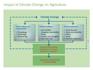 Impact of climate change on agriculture & allied sectors | PPTX