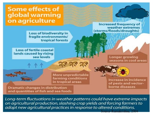 Impact of climate change on agriculture & allied sectors