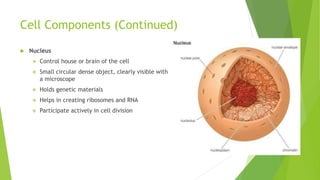 Cell Components (Continued)
 Nucleus
 Control house or brain of the cell
 Small circular dense object, clearly visible with
a microscope
 Holds genetic materials
 Helps in creating ribosomes and RNA
 Participate actively in cell division
 