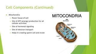 Cell Components (Continued)
 Mitochondria
 Power house of cell
 Site of ATP (energy) production for all
cellular activities
 Site of hormonal signaling
 Site of electron transport
 Helps in creating sperm cell and ovules
 