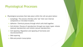 Physiological Processes
 Physiological processes that take place within the cell are given below:
 Autophagy- The process whereby cells "eat" their own internal
components or microbial invaders.
 Adhesion- Chemical process through which cells held together.
 Cell division- Process of reproduction through two major types- mitosis
(asexual reproduction) and meiosis (sexual reproduction).
 Cell signaling- Regulation and signaling of hormones and
neurotransmitters
 DNA repairing
 RNA and protein transcription
 