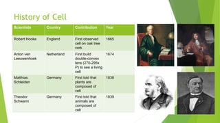 History of Cell
Scientists Country Contribution Year
Robert Hooke England First observed
cell on oak tree
cork
1665
Anton ven
Leeuwenhoek
Netherland First build
double-convex
lens (270-295x
P) to see a living
cell
1674
Matthias
Schleiden
Germany First told that
plants are
composed of
cell
1838
Theodor
Schwann
Germany First told that
animals are
composed of
cell
1839
 
