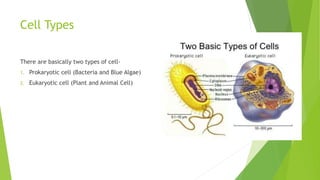 Cell Types
There are basically two types of cell-
1. Prokaryotic cell (Bacteria and Blue Algae)
2. Eukaryotic cell (Plant and Animal Cell)
 