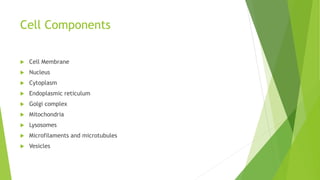 Cell Components
 Cell Membrane
 Nucleus
 Cytoplasm
 Endoplasmic reticulum
 Golgi complex
 Mitochondria
 Lysosomes
 Microfilaments and microtubules
 Vesicles
 
