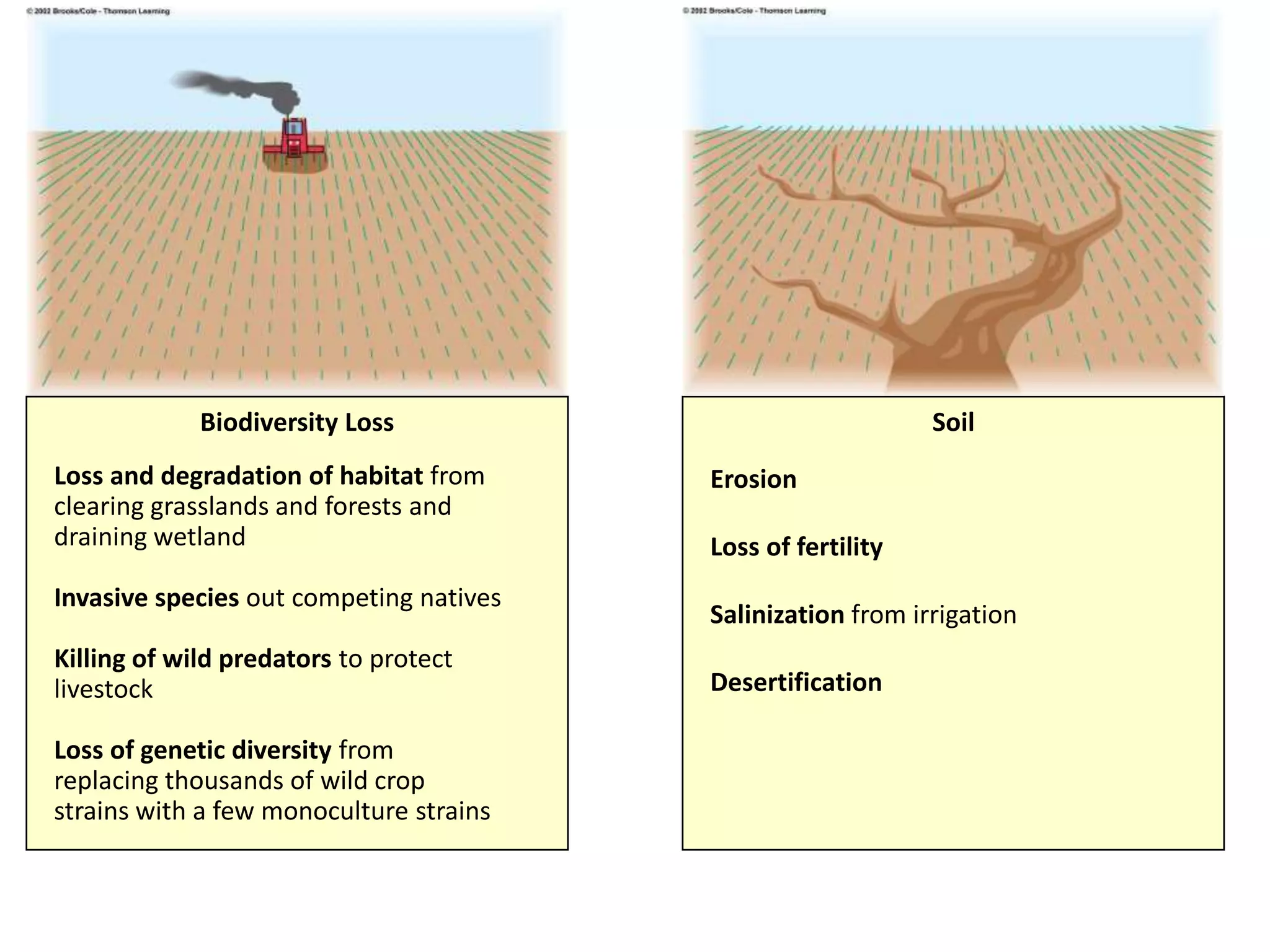Impact of climate change on biodiversity and agriculture | PPTX