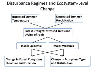 Impact of climate change on biodiversity and agriculture | PPTX
