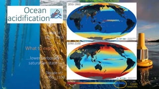 Impact of Climate change on fish Production2022.pdf