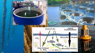 Impact of Climate change on fish Production2022.pdf