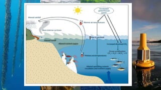 Impact of Climate change on fish Production2022.pdf