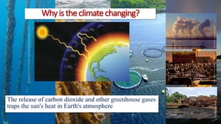 Impact of Climate change on fish Production2022.pdf