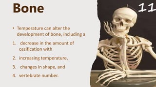 Impact of climate change on musculoskeletal.pptx