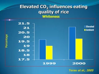 Impact of climate change on rice production | PPTX