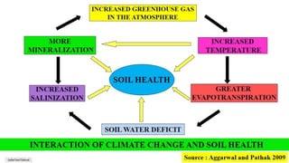 Impact of Climate Change on Soil Health | PPTX