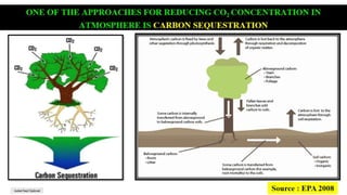 Impact of Climate Change on Soil Health | PPTX