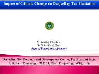 Impact of Climate Change on Darjeeling Tea Plantation
Darjeeling Tea Research and Development Centre, Tea Board of India,
A.B. Path, Kurseong – 734203, Dist.- Darjeeling, (WB), India
Darjeeling Tea Research and Development Centre, Tea Board of India,
A.B. Path, Kurseong – 734203, Dist.- Darjeeling, (WB), India
Mrityunjay Choubey
Sr. Scientific Officer
Dept. of Botany and Agronomy
 