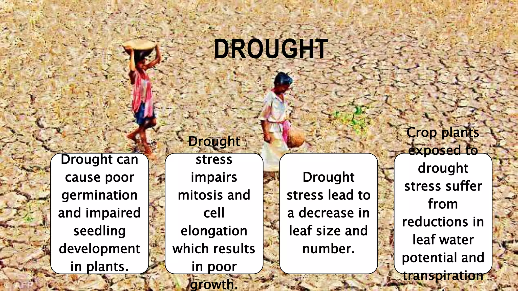 Impact of climatic change on agriculture | PPTX