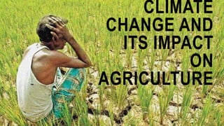 CLIMATE
CHANGE AND
ITS IMPACT
ON
AGRICULTURE
 
