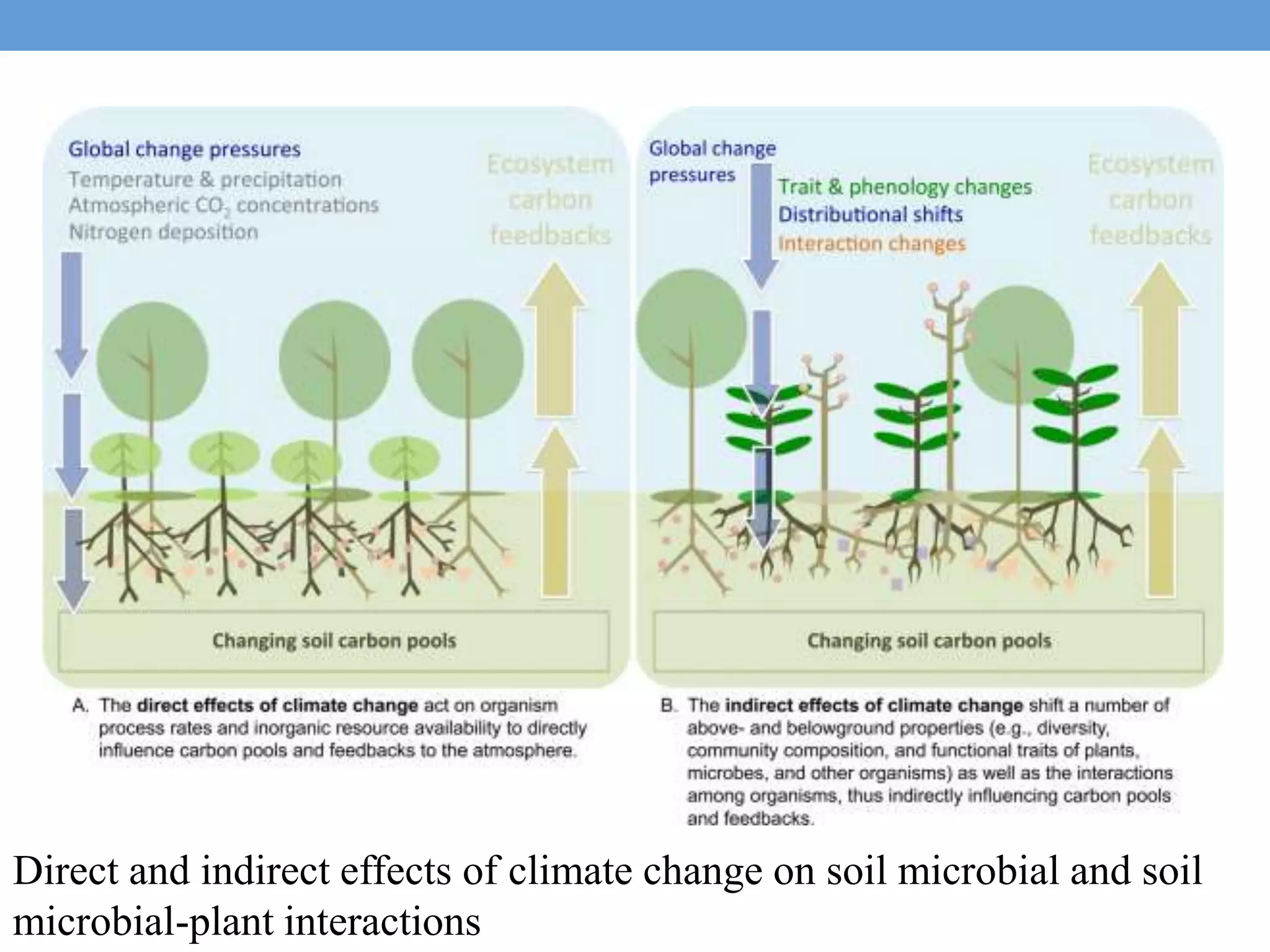 Direct and indirect effects of climate change on soil microbial and soil
microbial-plant interactions
 