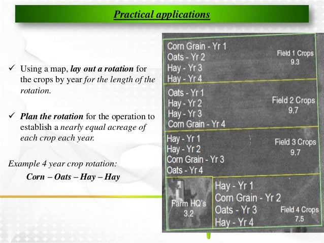 5 Year Crop Rotation Chart