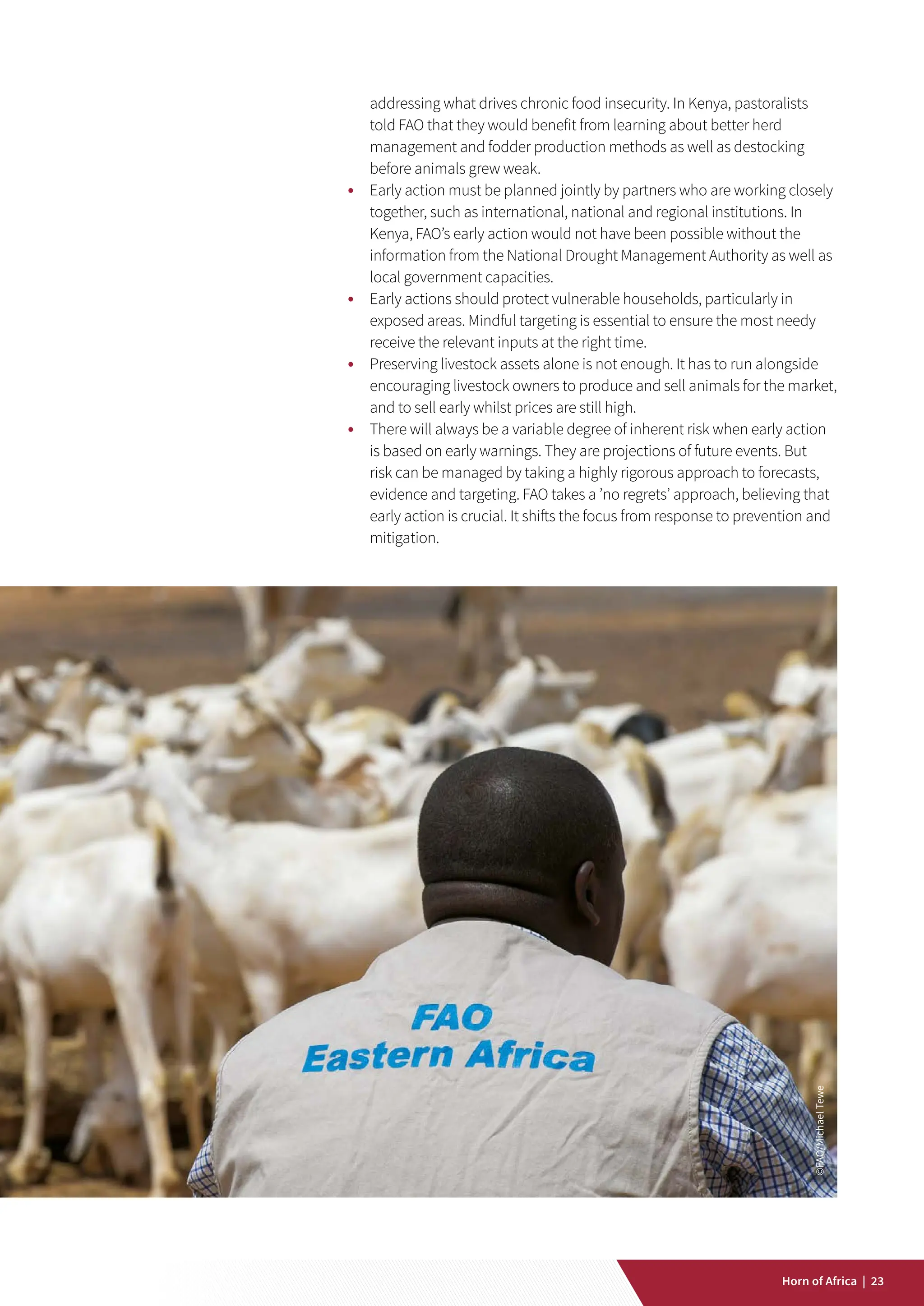 Impact of Early Warning Early Action pdf