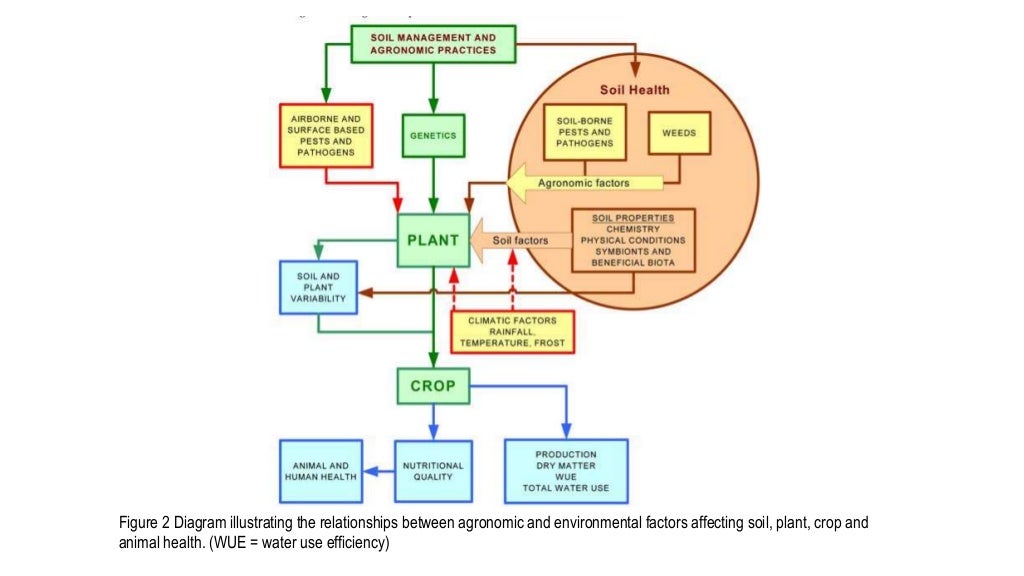 Impacts of Environmental Factors on Animal Health, Wellbeing and Sur…