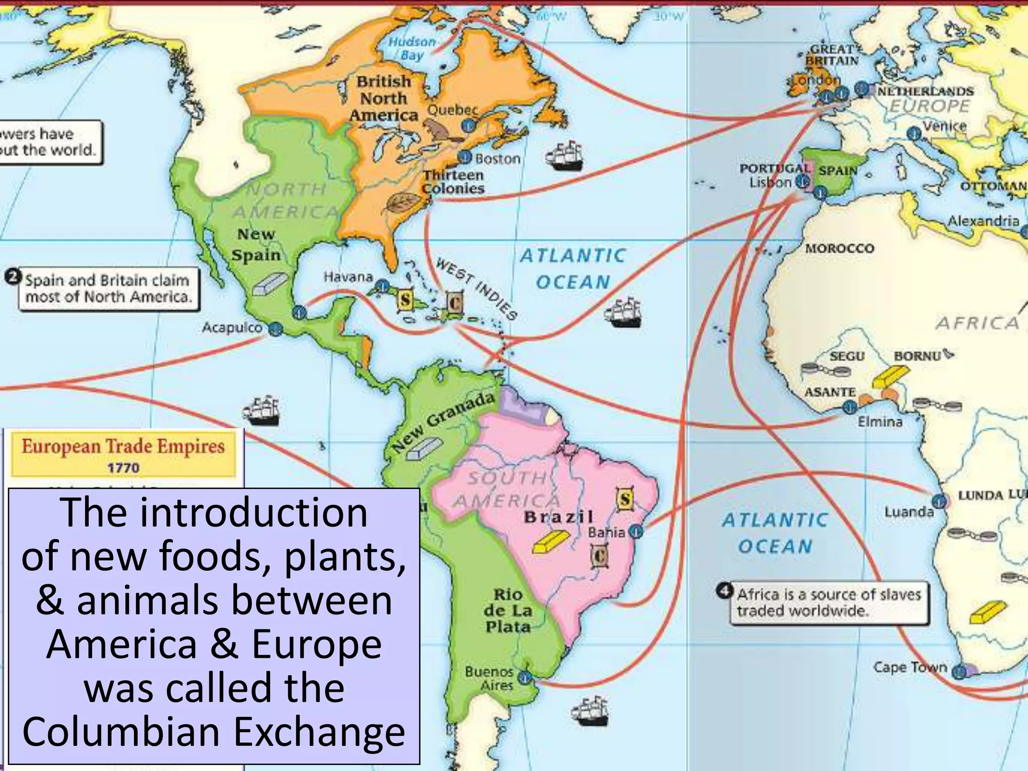 The introduction
of new foods, plants,
& animals between
America & Europe
was called the
Columbian Exchange
 