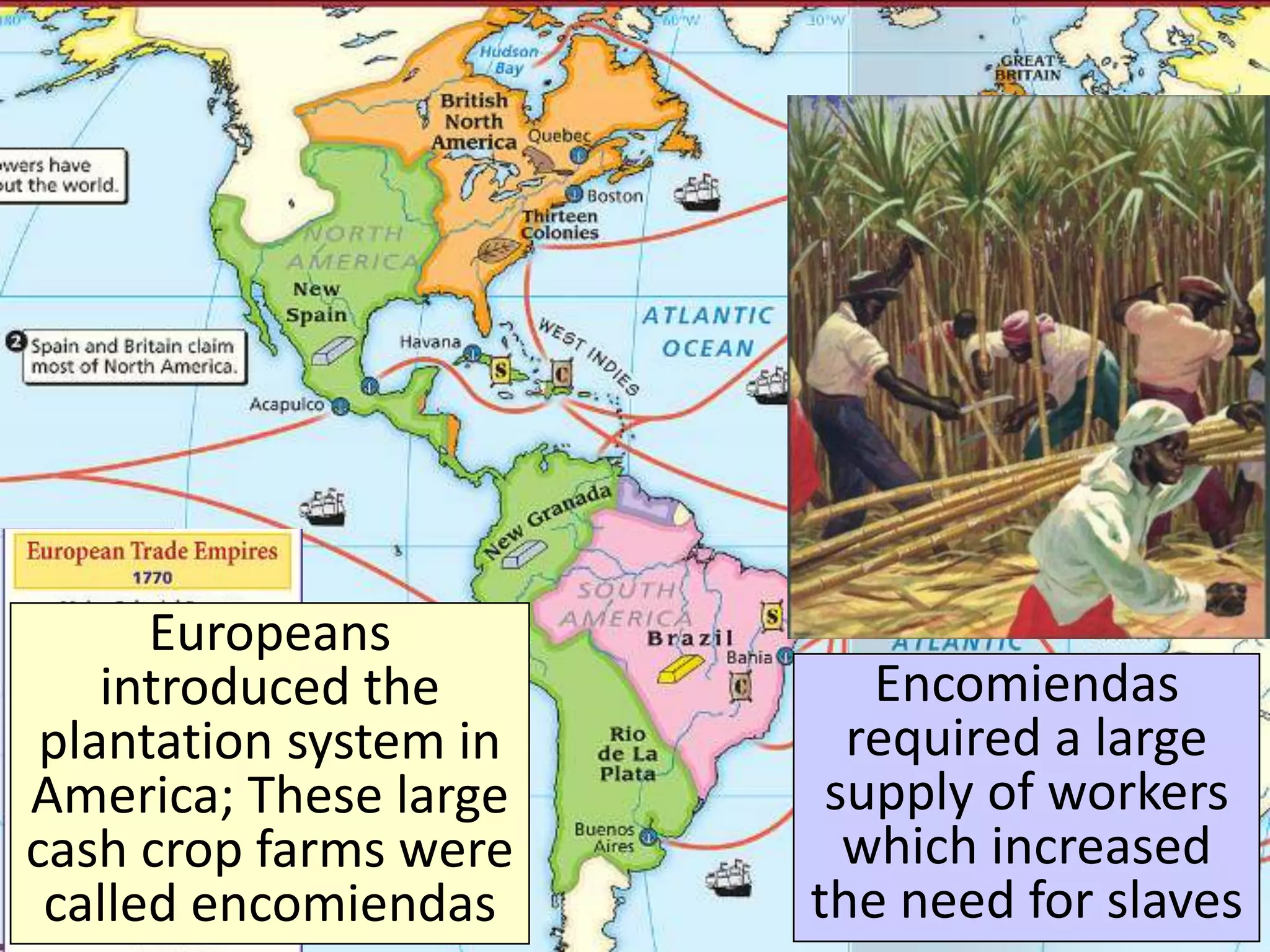 Europeans
introduced the
plantation system in
America; These large
cash crop farms were
called encomiendas
Encomiendas
required a large
supply of workers
which increased
the need for slaves
 