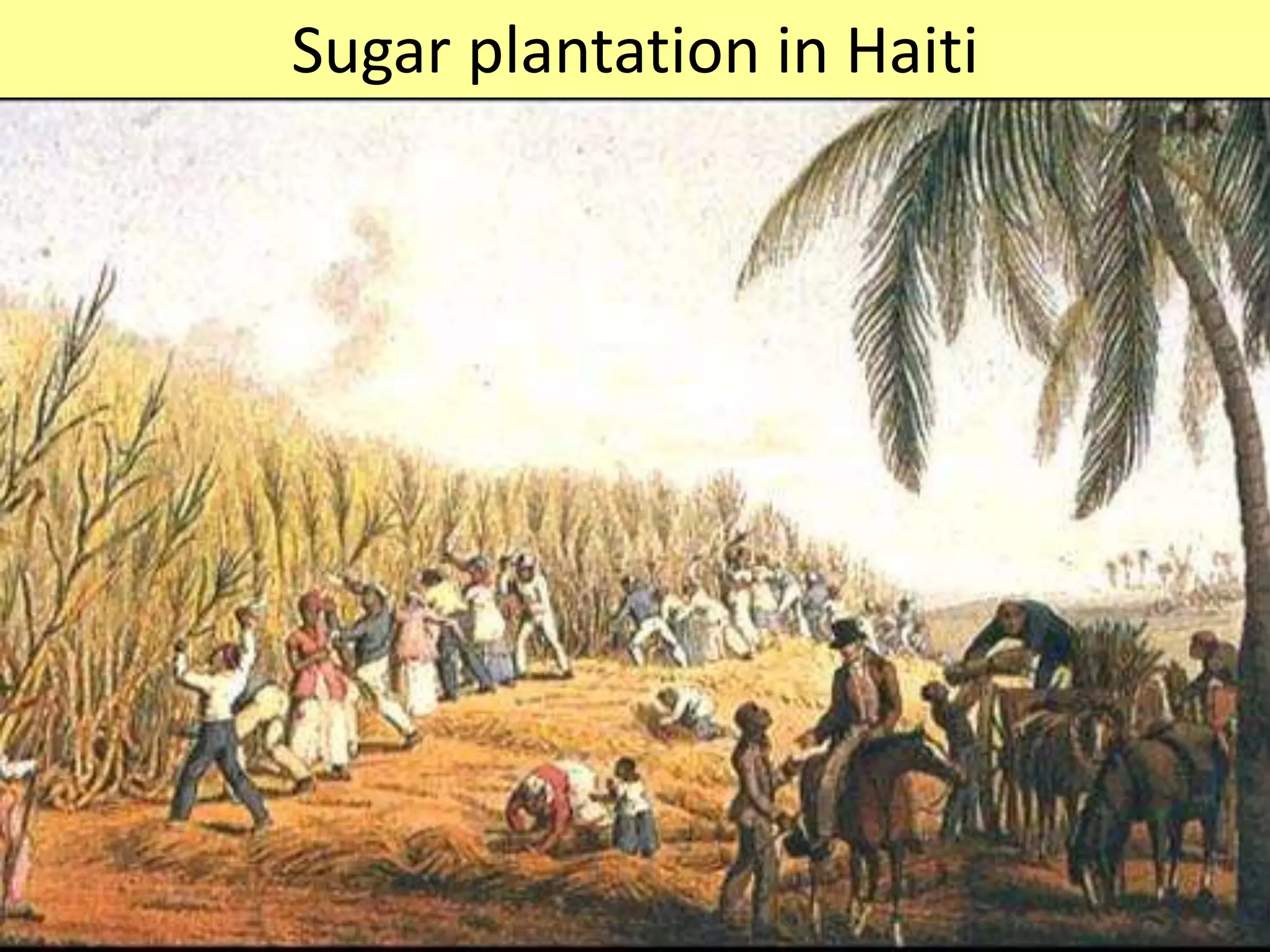 The “Coffin” Position Used Below Desk
African Captives Being Thrown Overboard
Slave auction upon arrival in America
Sugar plantation in Haiti
 