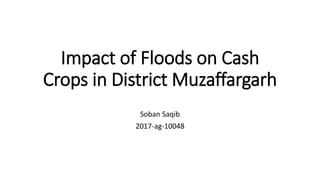 Impact of Floods on Cash
Crops in District Muzaffargarh
Soban Saqib
2017-ag-10048
 