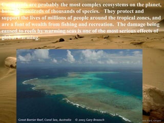 Coral reefs are probably the most complex ecosystems on the planet, home to hundreds of thousands of species.   They protect and support the lives of millions of people around the tropical zones, and are a font of wealth from fishing and recreation.  The damage being caused to reefs by warming seas is one of the most serious effects of global warming.  