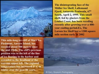 The disintegrating face of the Müller Ice Shelf, Lallemand Fjord, Antarctic Peninsula, 67° South, April 2, 1999. This small shelf, fed by glaciers from the Loubet Coast, has been receding recently after growing over a 400-year cooling period.Ex, The Larsen Ice Shelf lost a 1200 square mile section early in 2002  This mile-long ice cliff of Marr Ice Piedmont, Anvers Island, has receded about 500 meters since the mid 1960s. The cliff's previous position was to the left of the line of ice floating in the harbor and extended to the headland at the extreme upper left. The regional temperature has increased 5° C in winter over the past 50 years.  