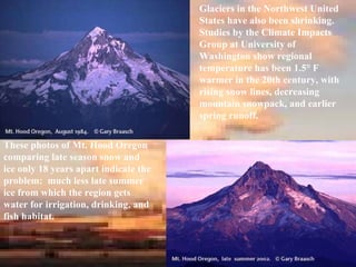 Glaciers in the Northwest United States have also been shrinking.  Studies by the Climate Impacts Group at University of Washington show regional temperature has been 1.5° F warmer in the 20th century, with rising snow lines, decreasing mountain snowpack, and earlier spring runoff.  These photos of Mt. Hood Oregon comparing late season snow and ice only 18 years apart indicate the problem:  much less late summer ice from which the region gets water for irrigation, drinking, and fish habitat.  