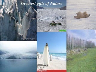 Greatest gifts of Nature 