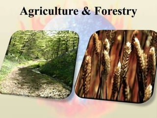 Agriculture & Forestry<br />