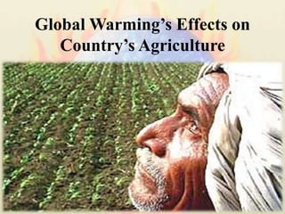 Global Warming’s Effects on Country’s Agriculture<br />