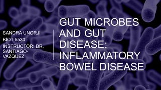 GUT MICROBES
AND GUT
DISEASE:
INFLAMMATORY
BOWEL DISEASE
SANDRA UNORJI
BIOT 5530
INSTRUCTOR: DR.
SANTIAGO-
VAZQUEZ
1
 
