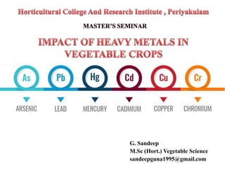 Impact Of Heavy Metals In Vegetable Crops | PPTX