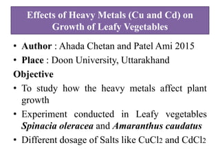 Impact Of Heavy Metals In Vegetable Crops | PPTX