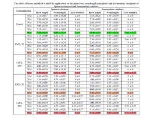 Impact Of Heavy Metals In Vegetable Crops | PPTX