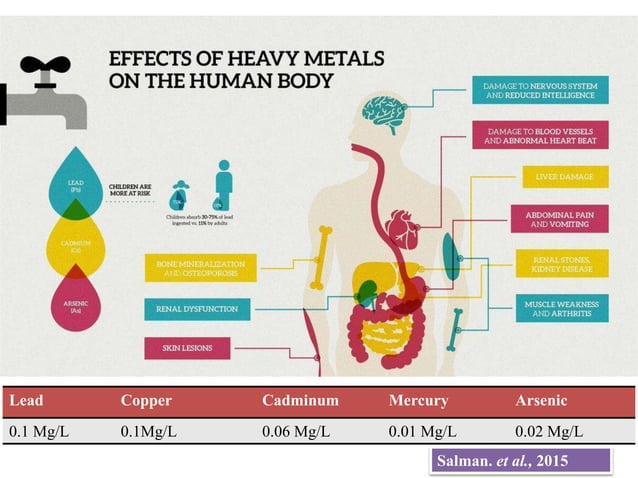 Impact Of Heavy Metals In Vegetable Crops | PPTX | Gardening | Home ...