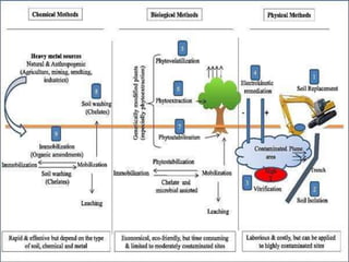 Impact Of Heavy Metals In Vegetable Crops | PPTX