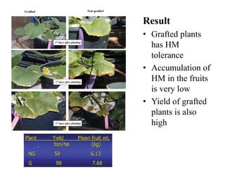 Impact Of Heavy Metals In Vegetable Crops | PPTX